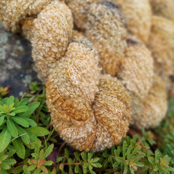 CHARLOTTE Baby Alpaca Bouclé | Woolento