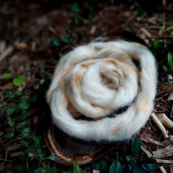 CHLOÉ Silky Alpaca Brushed | Woolento